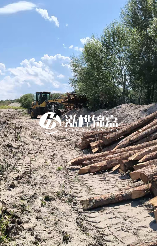 松木樁處理技術要求是什么-松木樁處理地基間距多少合適呢？