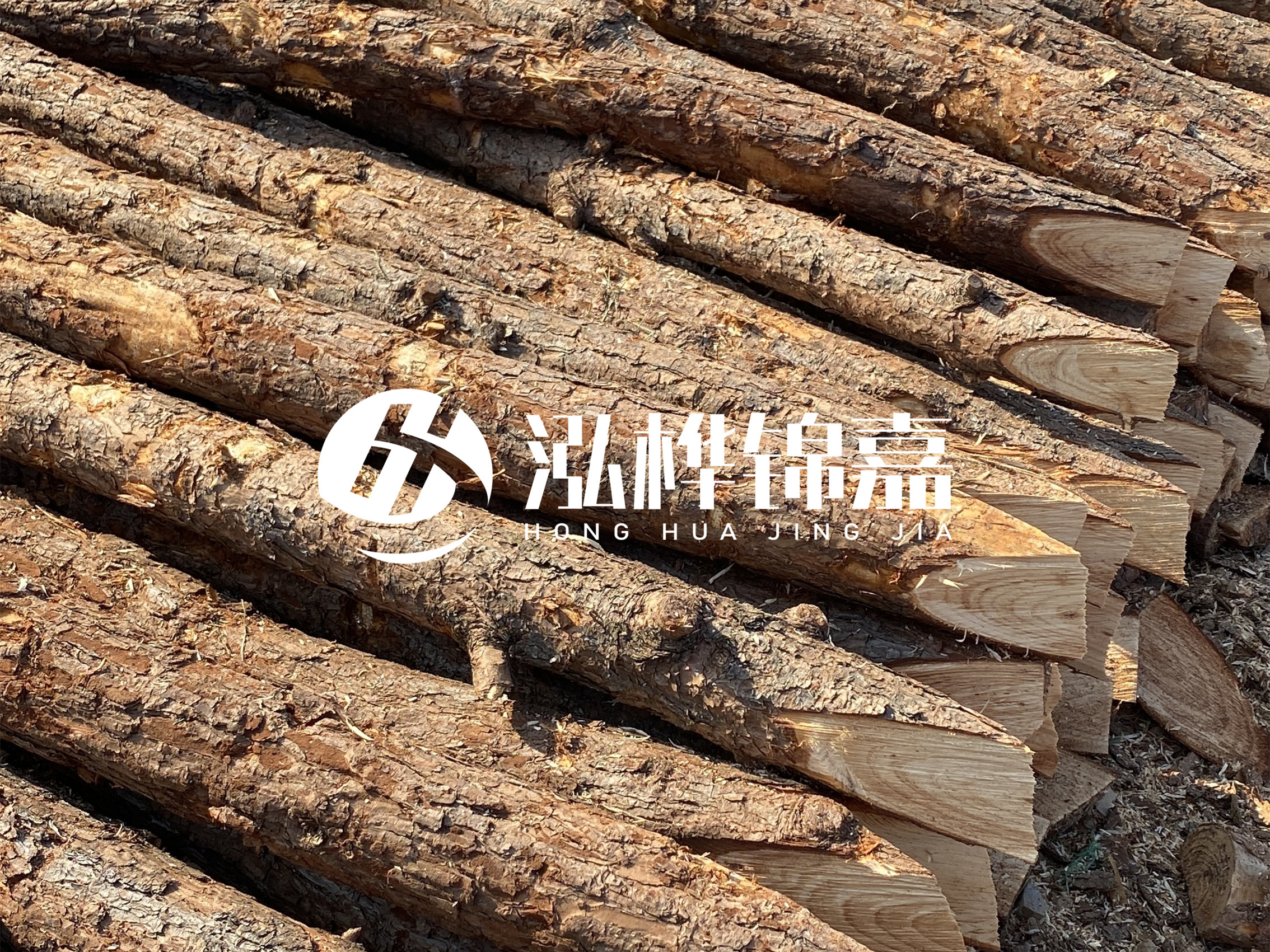 8 米超大直徑松木樁的價格是多少？帶皮和去皮松木樁價格差多少？