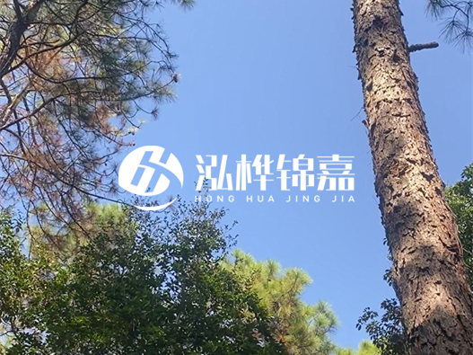 松木樁廠家泓樺錦嘉可以實(shí)地考察嗎？需要提前預(yù)約嗎？
