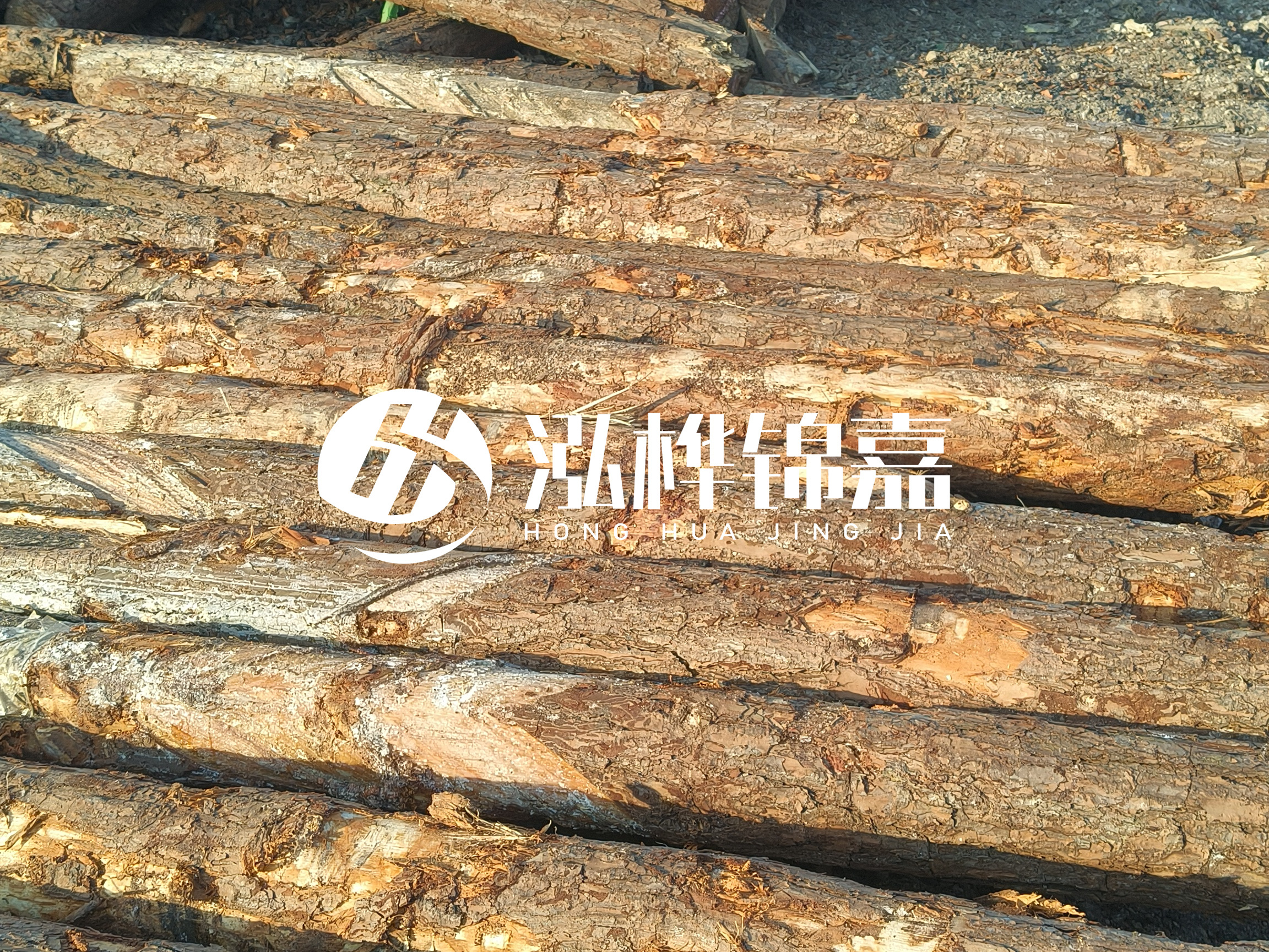 河道木樁的含水率過高會有什么問題？怎么檢查松木樁含水率？