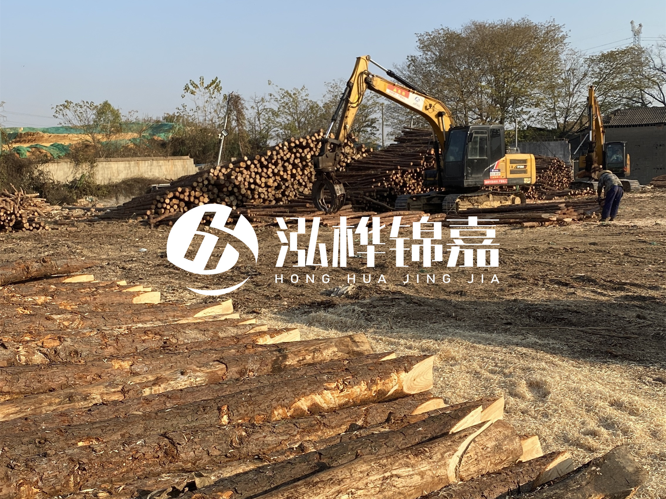 松木樁批發(fā)廠家泓樺錦嘉-松木樁廠家能開(kāi)發(fā)票嗎?