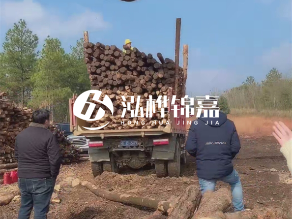 松木樁廠家泓樺錦嘉-存放超過(guò)半年的原木松木樁還能用嗎?