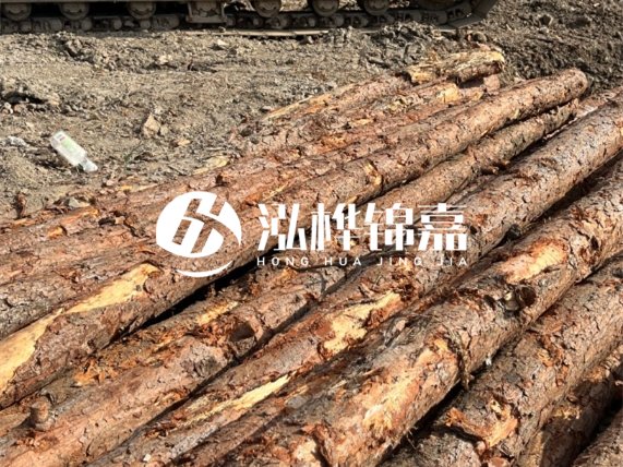 松木樁廠家泓樺錦嘉-原木松木樁的材質(zhì)是落葉松還是濕地松好?