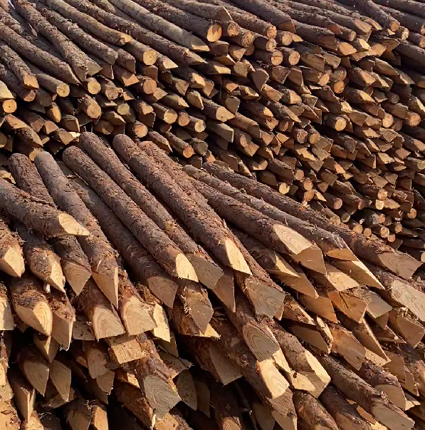 松木樁施工隊泓樺錦嘉 - 河道駁岸樁的檢測標準是什么?