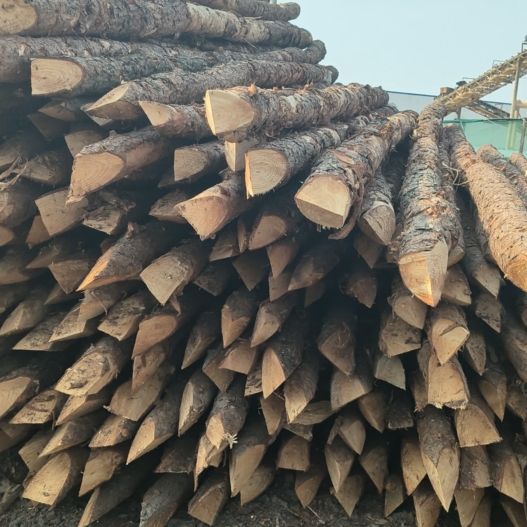 松木樁施工隊泓樺錦嘉 - 河道改造用什么規格的打樁木？