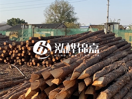松木樁施工隊泓樺錦嘉 - 河道打樁用什么木樁？