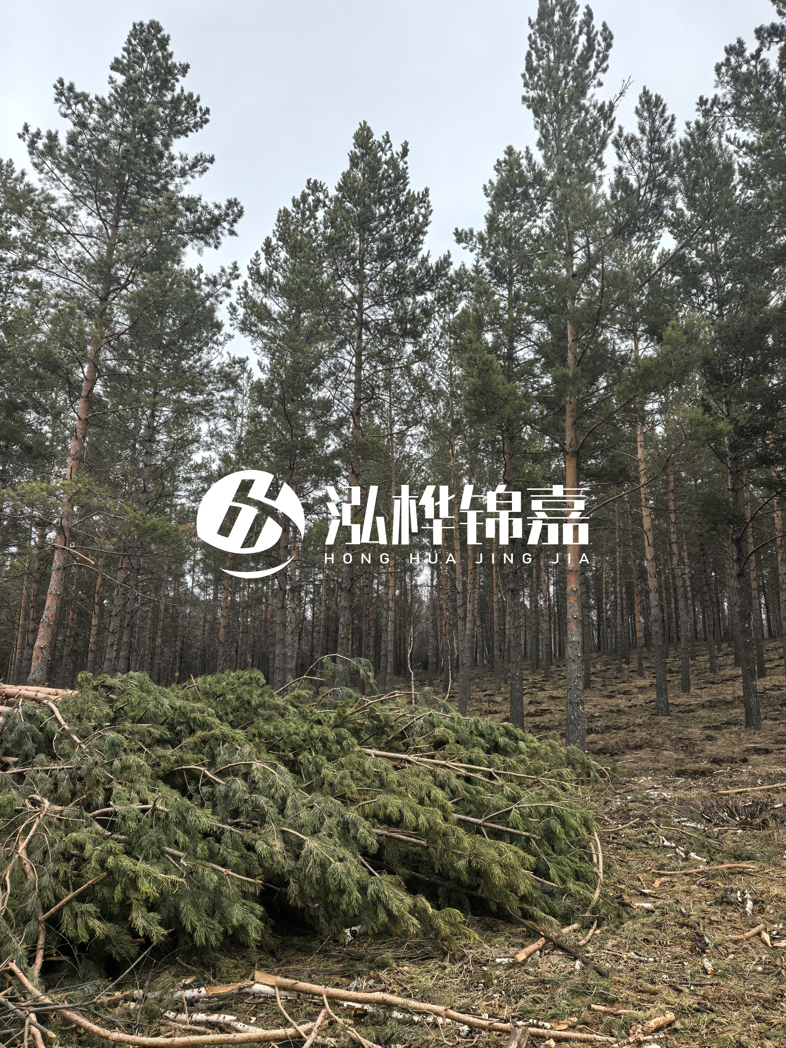 松木樁施工隊泓樺錦嘉 - 河道打樁木能在水里使用多少年？