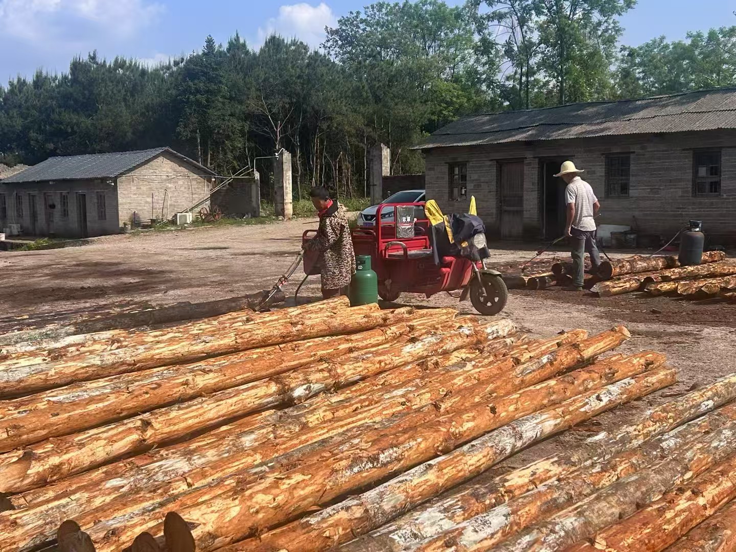 松木樁施工隊(duì)泓樺錦嘉 - 建房子地基打木樁靠譜嗎?